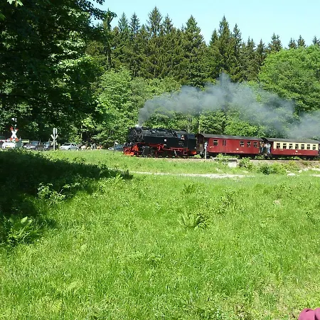 Kranich Bad Sachsa
