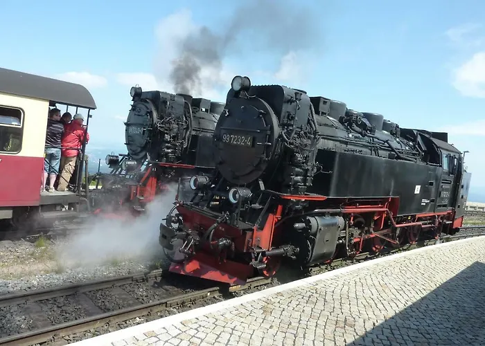 Kranich 巴特萨克萨