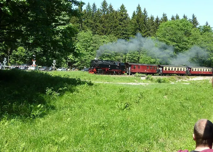 Kranich 巴特萨克萨